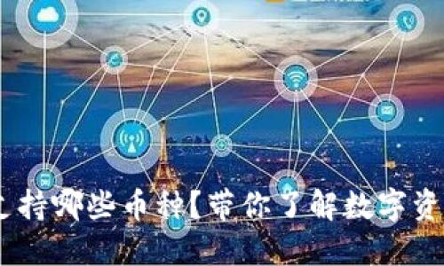 Tokenim钱包支持哪些币种？带你了解数字资产的神秘世界！