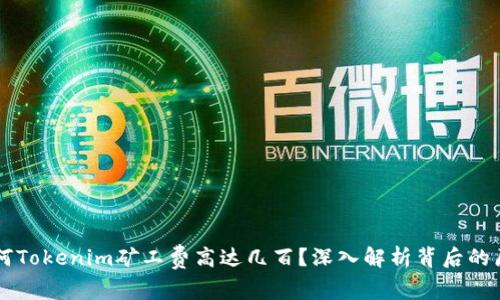 为何Tokenim矿工费高达几百？深入解析背后的原因