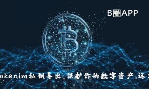 轻松掌握tokenim私钥导出：保护你的数字资产，远离安全隐患