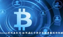 探索Tokenim里的未知币：如何在这个新兴市场中找