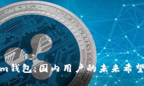 Tokenim钱包：国内用户的未来希望与挑战