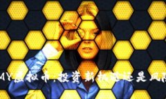 揭秘MMY虚拟币：投资新机遇还是风险陷阱？