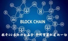 揭开DD币的神秘面纱：你所需要知道的一切