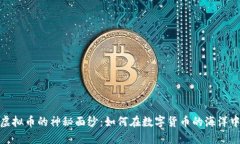 揭开虚拟币的神秘面纱：如何在数字货币的海洋
