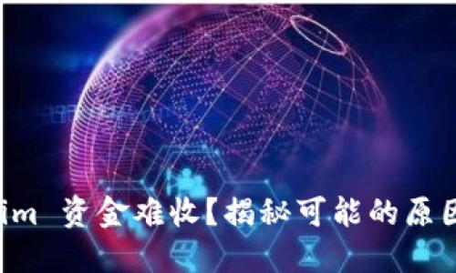 转入 Tokenim 资金难收？揭秘可能的原因与解决方案