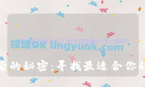 发现Tokenim背后的秘密：寻找最适合你的数字钱包替代品