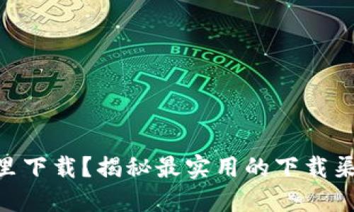Tokenim在哪里下载？揭秘最实用的下载渠道与使用技巧