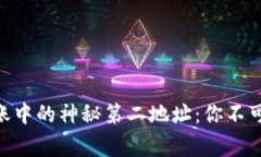 揭秘Tokenim转账中的神秘第二地址：你不可不知的