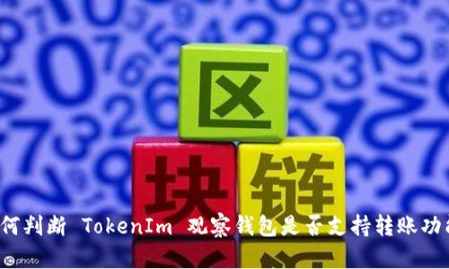 如何判断 TokenIm 观察钱包是否支持转账功能？