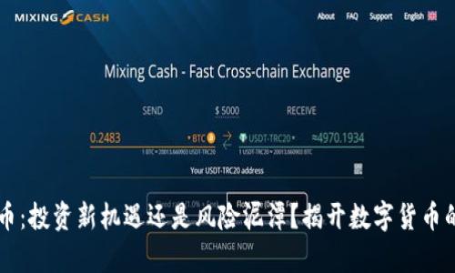 虚拟币：投资新机遇还是风险泥潭？揭开数字货币的真相