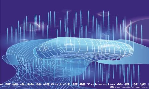 如何安全地访问DotC？详解Tokenim的最佳实践
