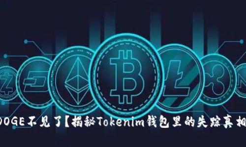 DOGE不见了？揭秘Tokenim钱包里的失踪真相！