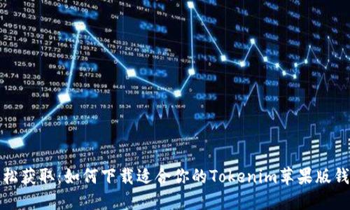 轻松获取：如何下载适合你的Tokenim苹果版钱包