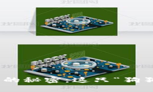 揭开DOGE暴涨背后的秘密：这只“狗狗”为何能引发狂潮？