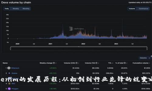 Tokenim的发展历程：从初创到行业先锋的蜕变之路