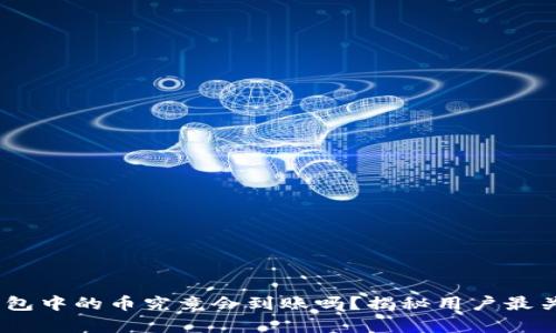 tokenim钱包中的币究竟会到账吗？揭秘用户最关心的真相！