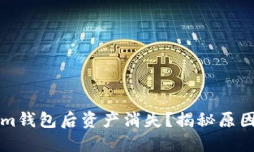 导入Tokenim钱包后资产消失？揭秘原因与解决方案