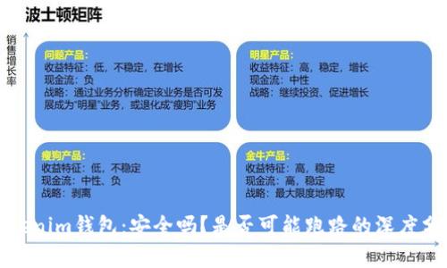 Tokenim钱包：安全吗？是否可能跑路的深度分析