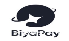 探索LVL虚拟币：未来的金融变革，带你走进新经