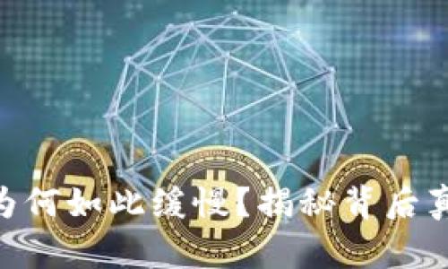 Tokenim转账为何如此缓慢？揭秘背后真相与解决方案