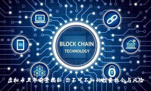 虚拟币上市前景揭秘：你不可不知的投资机会与风险