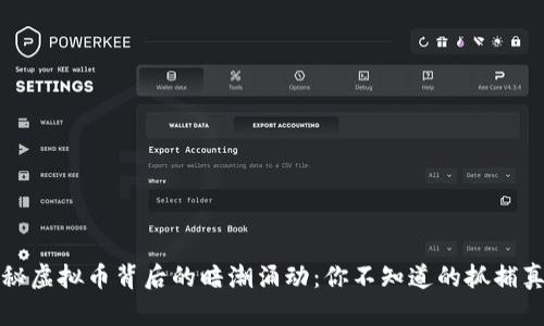 揭秘虚拟币背后的暗潮涌动：你不知道的抓捕真相