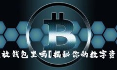 虚拟币必须放钱包里吗？揭秘你的数字资产安全