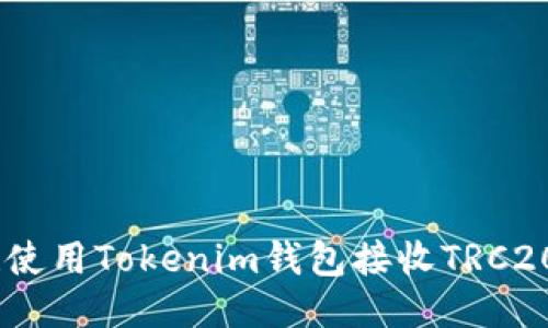 轻松收款！使用Tokenim钱包接收TRC20的全攻略