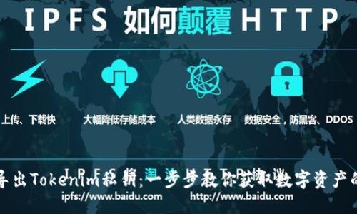 如何安全导出Tokenim私钥：一步步教你获取数字资产的安全保障