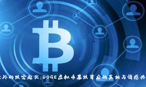 意外的跌宕起伏：DOGE虚拟币暴跌背后的真相与情感共鸣