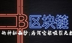 揭开天水虚拟币的神秘面纱：为何它能吸引无数