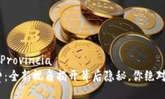  Provincia / Provincia Tokenim旷工费：全新视角揭开背