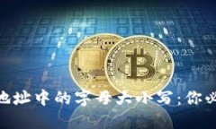 如何理解Tokenim地址中的字母大小写：你必须知道