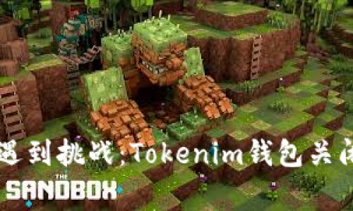 当数字资产的安全遇到挑战：Tokenim钱包关闭事件的深思与启示