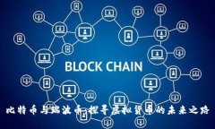 比特币与瑞波币：探寻虚拟货币的未来之路