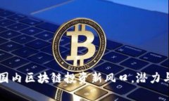 Tokenim：国内区块链投资新风口，潜力与挑战并存