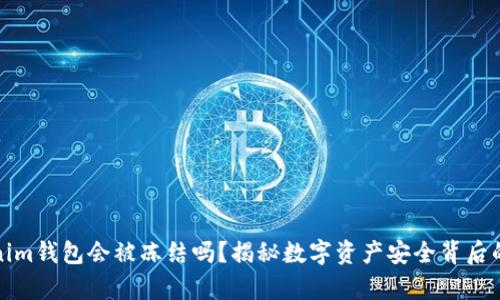 Tokenim钱包会被冻结吗？揭秘数字资产安全背后的真相