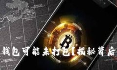 为何你的Tokenim钱包可能未打包？揭秘背后的原因