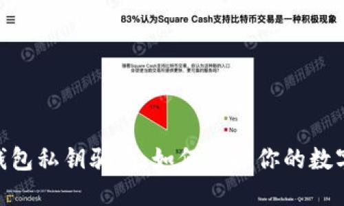 揭秘Tokenim钱包私钥骗局：如何保护你的数字资产免受侵害