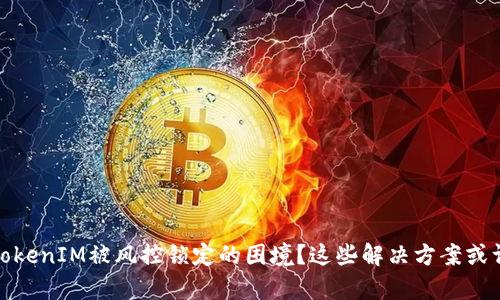 如何应对TokenIM被风控锁定的困境？这些解决方案或许能帮到你