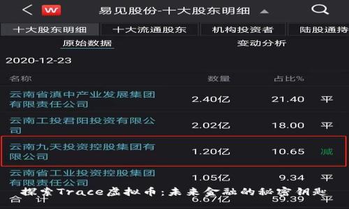 探索Trace虚拟币：未来金融的秘密钥匙