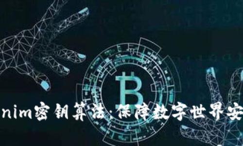 揭秘Tokenim密钥算法：保障数字世界安全的先锋