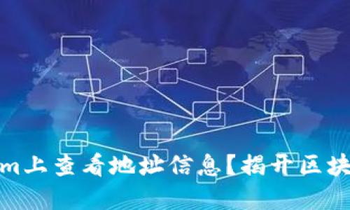 如何在Tokenim上查看地址信息？揭开区块链的神秘面纱