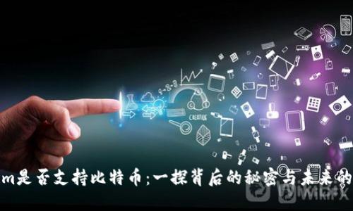 Tokenim是否支持比特币：一探背后的秘密与未来的可能性