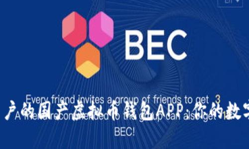 探索最适合普通用户的国产虚拟币钱包APP：你的数字资产安全守护者！