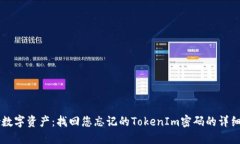 重拾数字资产：找回您忘记的TokenIm密码的详细指