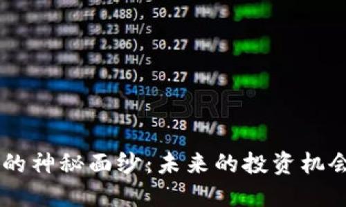 揭开GRS虚拟币的神秘面纱：未来的投资机会还是泡沫破灭？