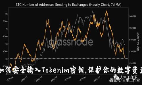 如何安全输入Tokenim密钥，保护你的数字资产
