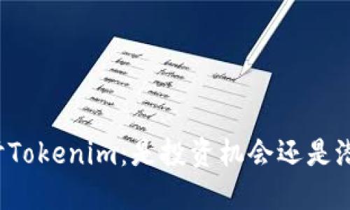 深入探讨Tokenim：是投资机会还是潜在骗局？