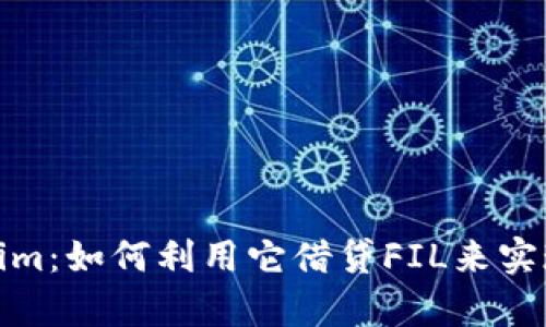 探索Tokenim：如何利用它借贷FIL来实现财富增值